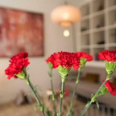 Appartement Rouge In The Heart